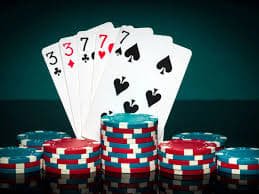 winbet 365