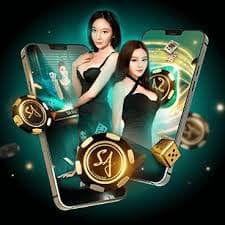 winbet 365